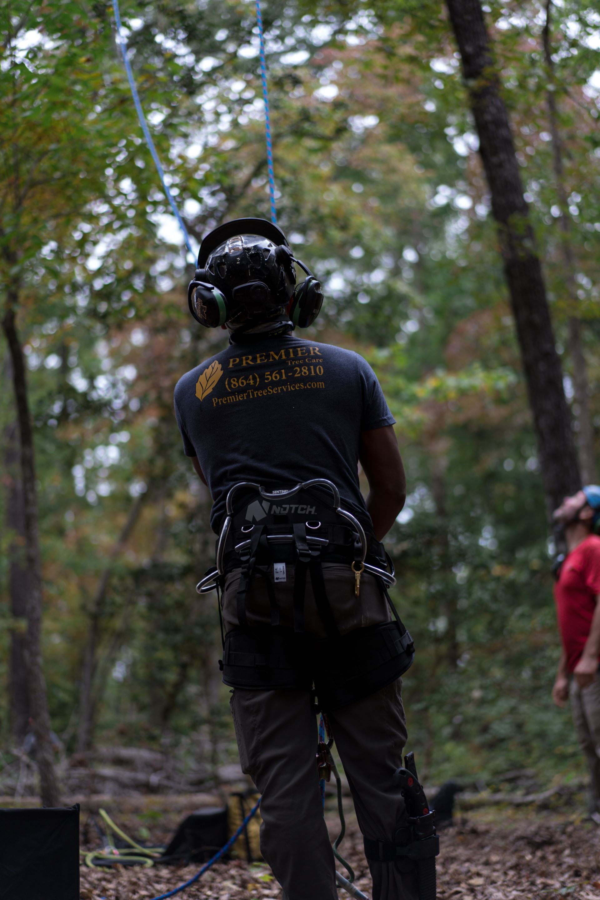 Person wearing a climbing harness and helmet stands on a forest course, seen from behind as a rope hangs overhead