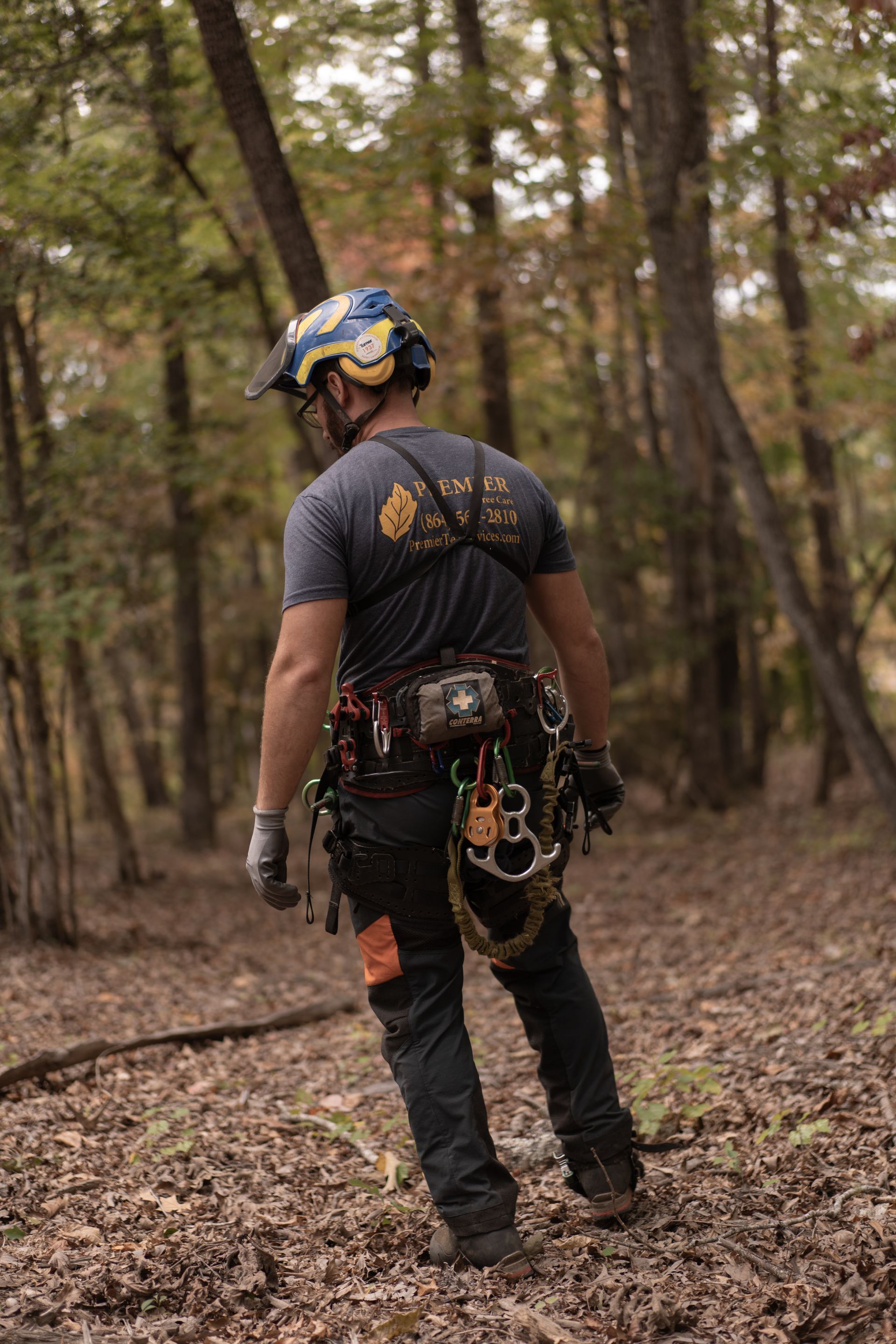 Rope-access worker in helmet and harness standing in a wooded area, facing away.