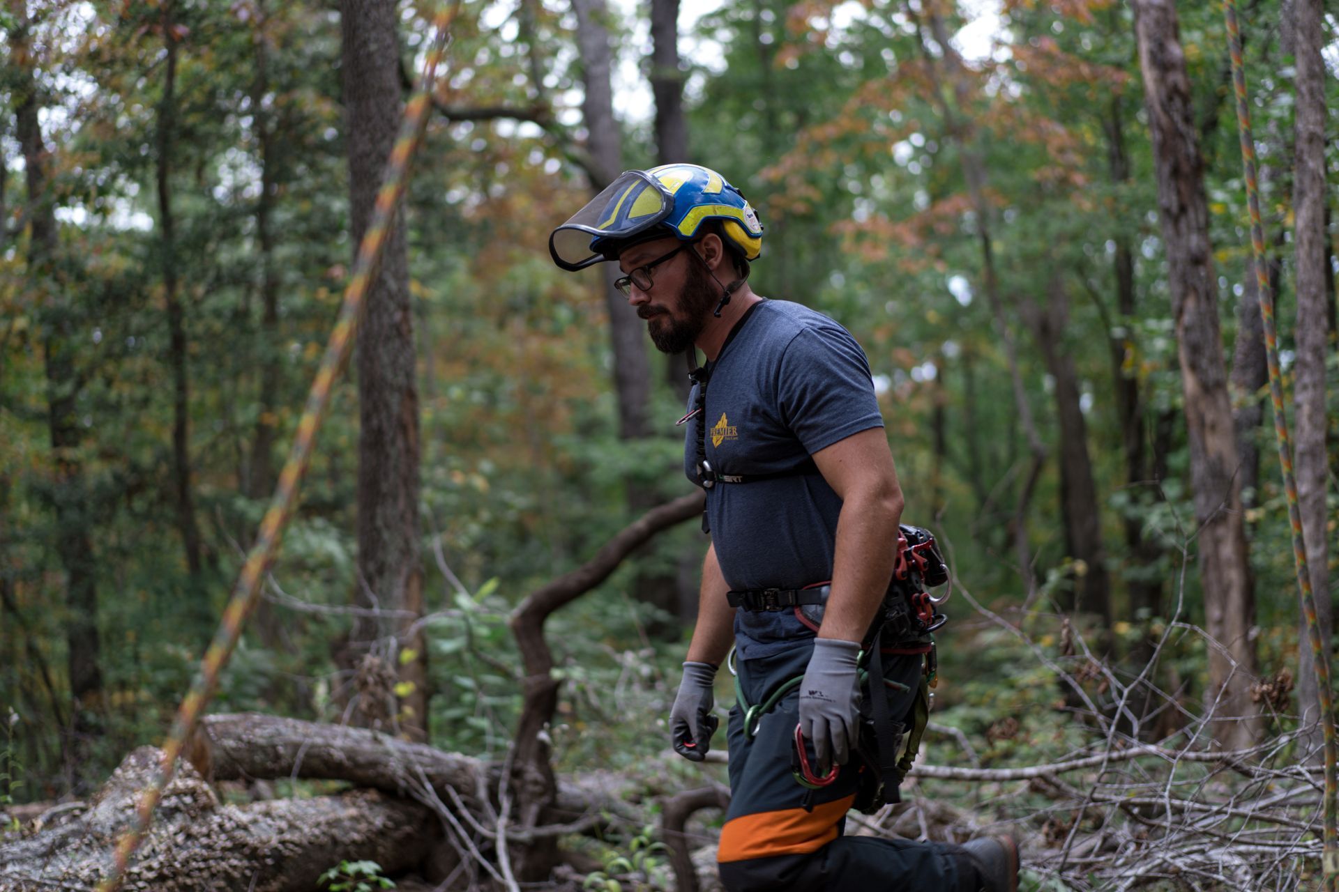 Person in a helmet and safety gear standing in a forest among fallen branches.