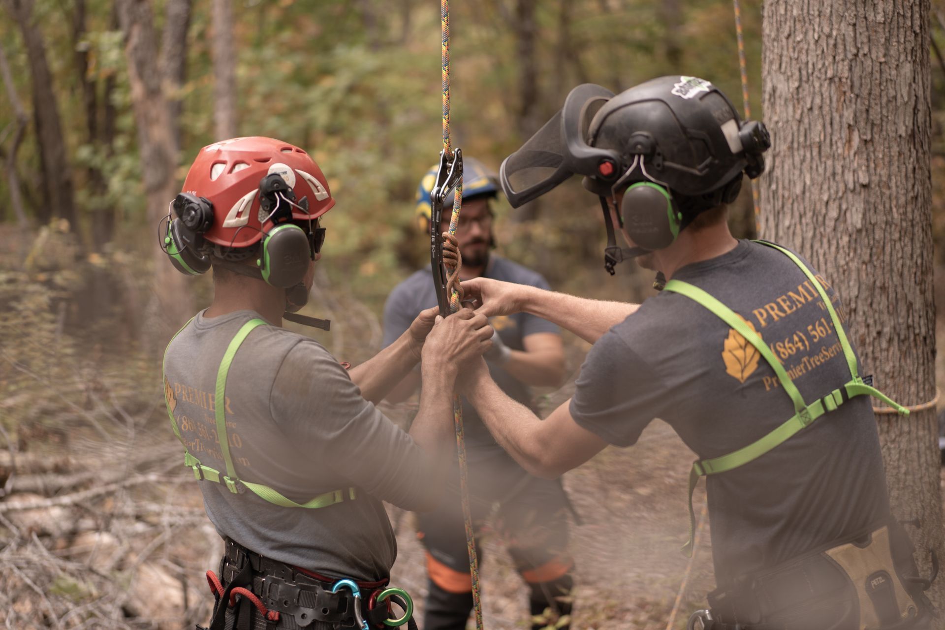 Two helmeted climbers in harnesses assist a person on a rope in a wooded area