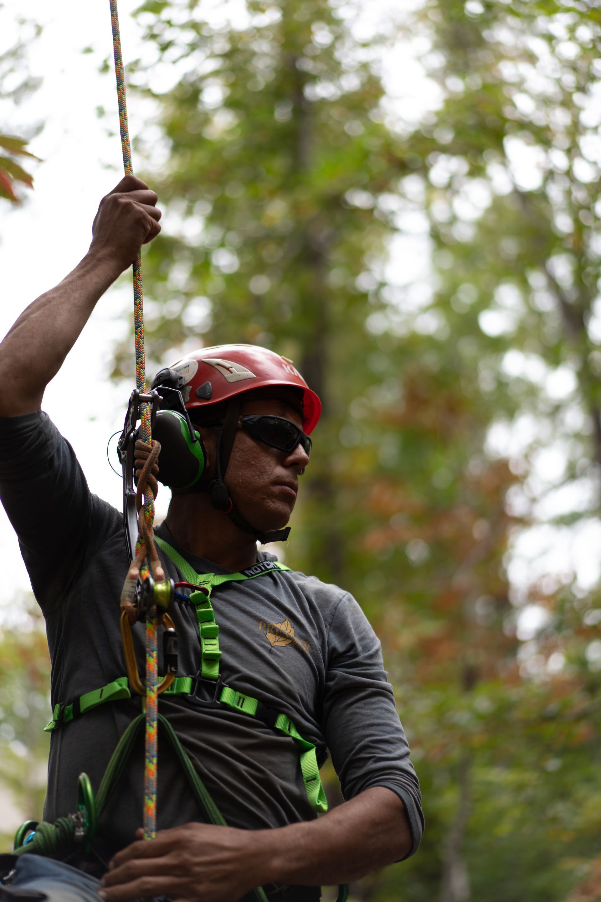 Climber in a red helmet and harness rappels on a rope amid trees outdoors