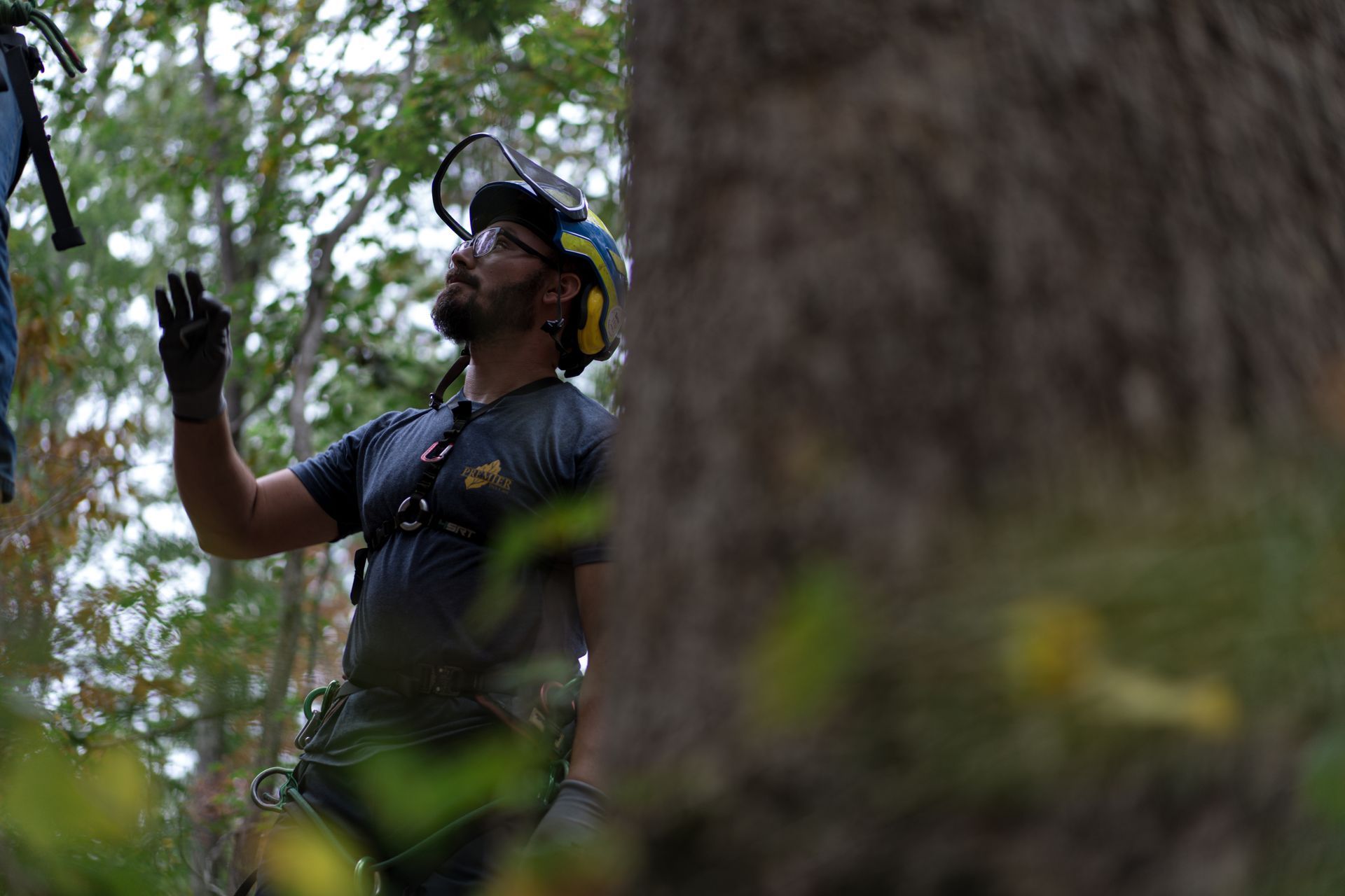 A person in a helmet and dark shirt stands in a wooded area, looking up and gesturing with one hand.
