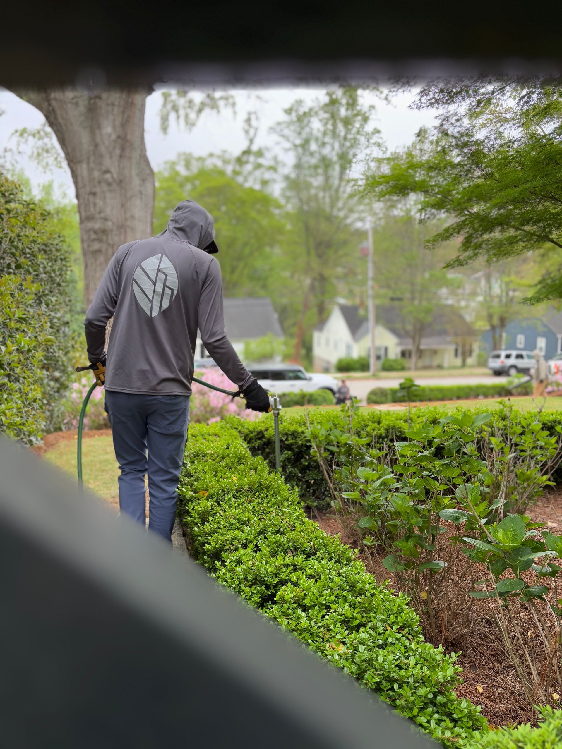 Person in a dark hoodie trims green hedges in a garden outside a house.