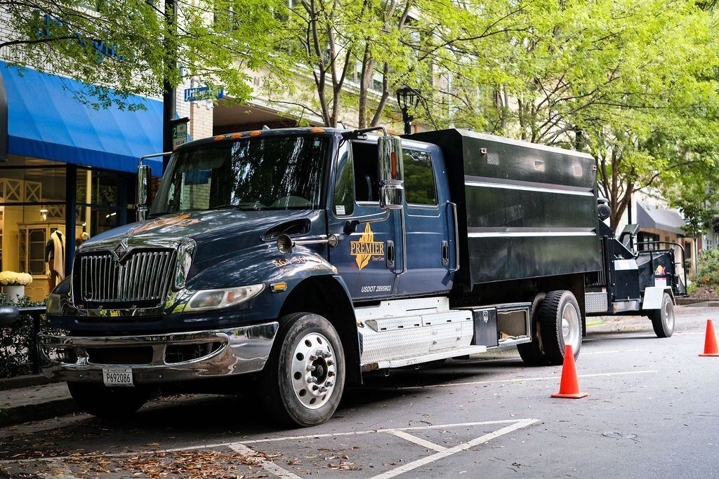 Black sheriff’s truck parked on a tree-lined street with orange traffic cones nearby