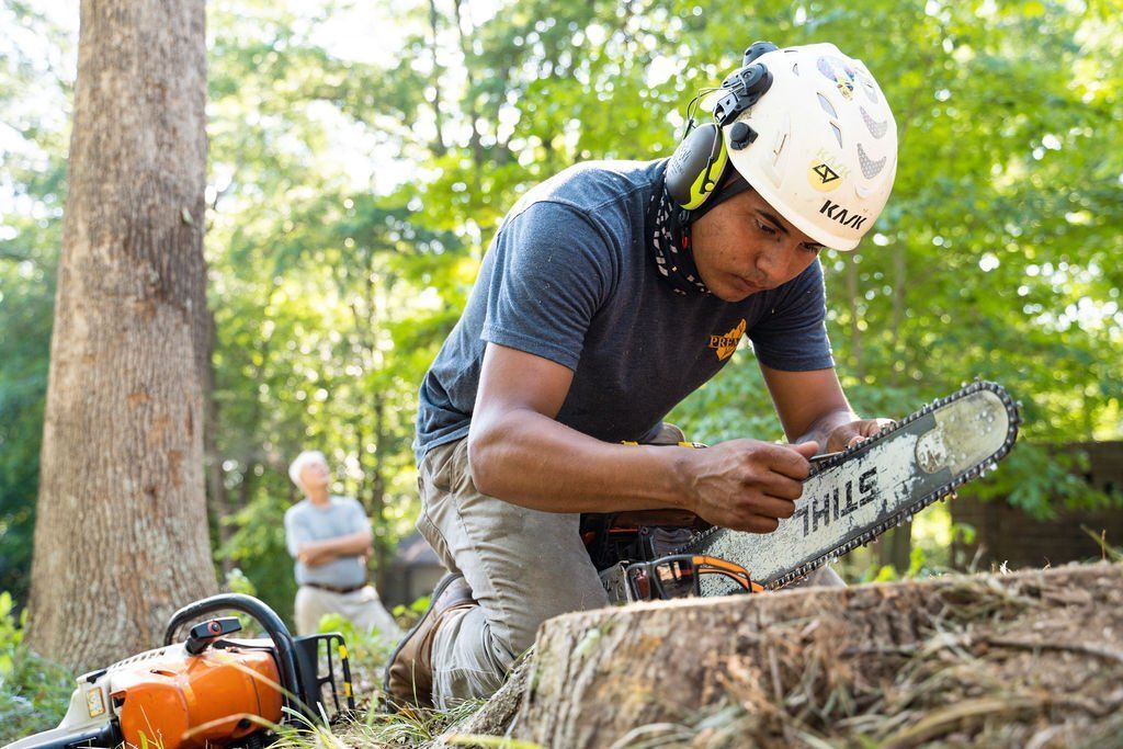 Man in a helmet using a chainsaw to cut a fallen tree trunk outdoors