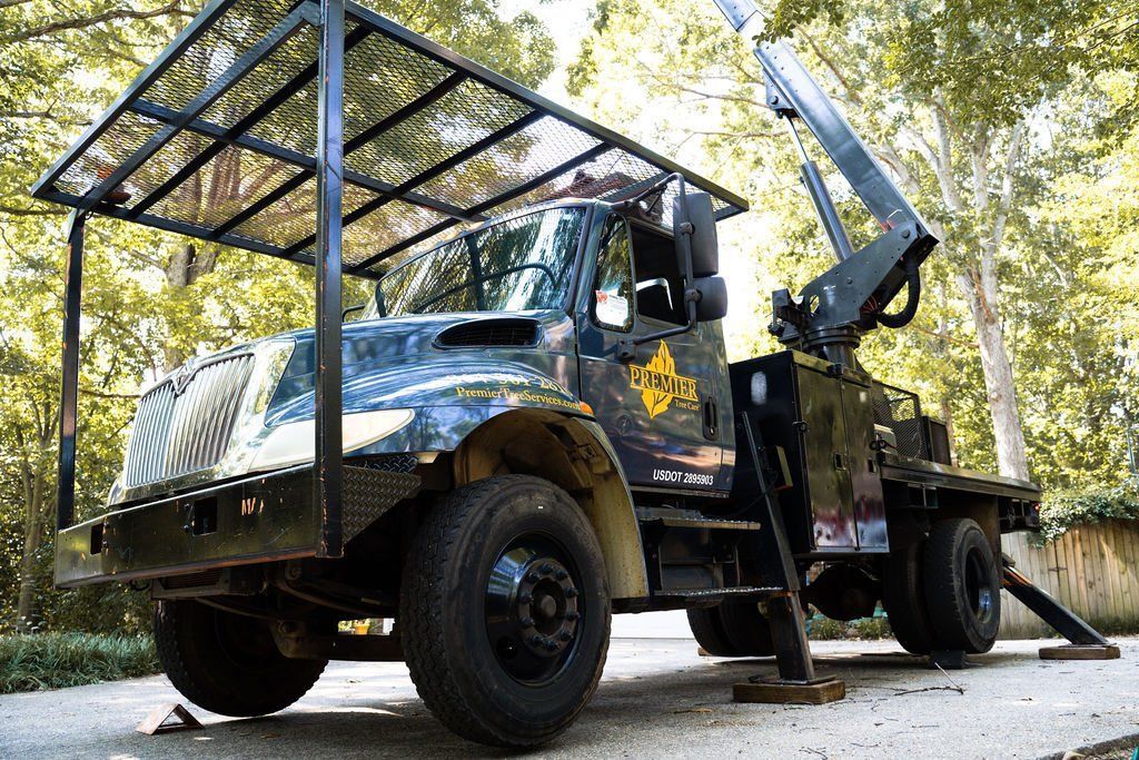 Black utility truck with a roof cage and raised rear gate parked on a wooded roadside.