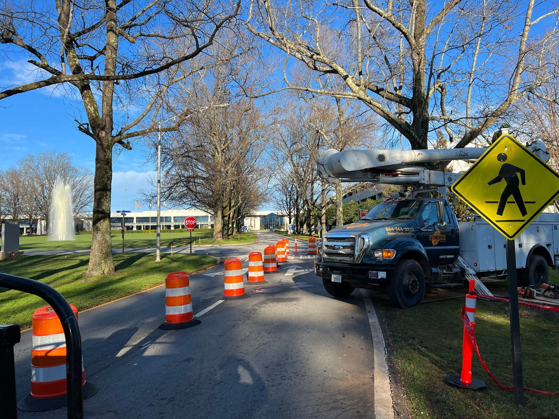 Tree-lined road with orange traffic cones and a utility truck beside a pedestrian crossing sign
