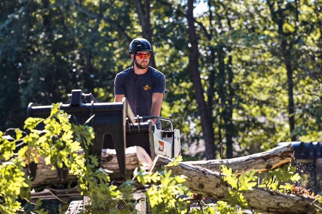 Worker in a hard hat operating a wood chipper amid fallen branches in a wooded area