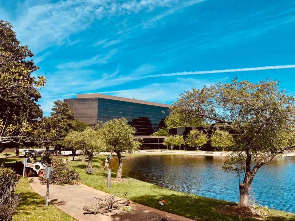 Lakeside park with trees, a walking path, and a modern glass building under a bright blue sky
