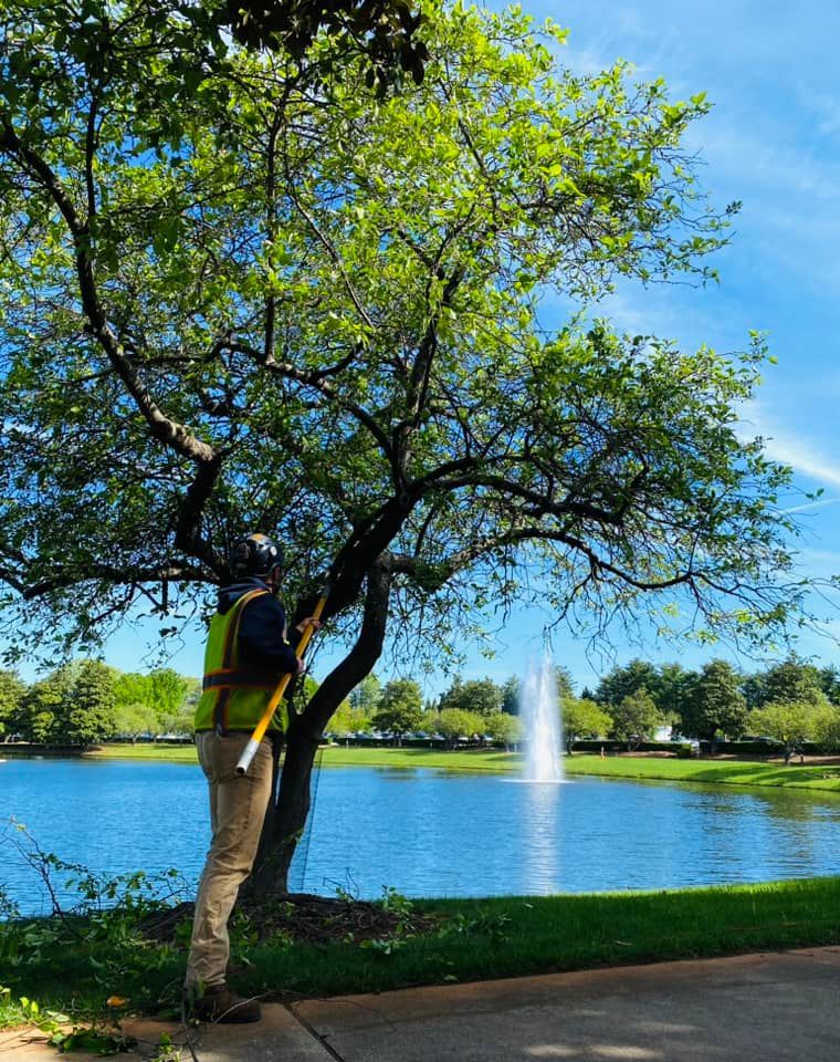 Person standing by a tree beside a lake with a fountain under a bright blue sky
