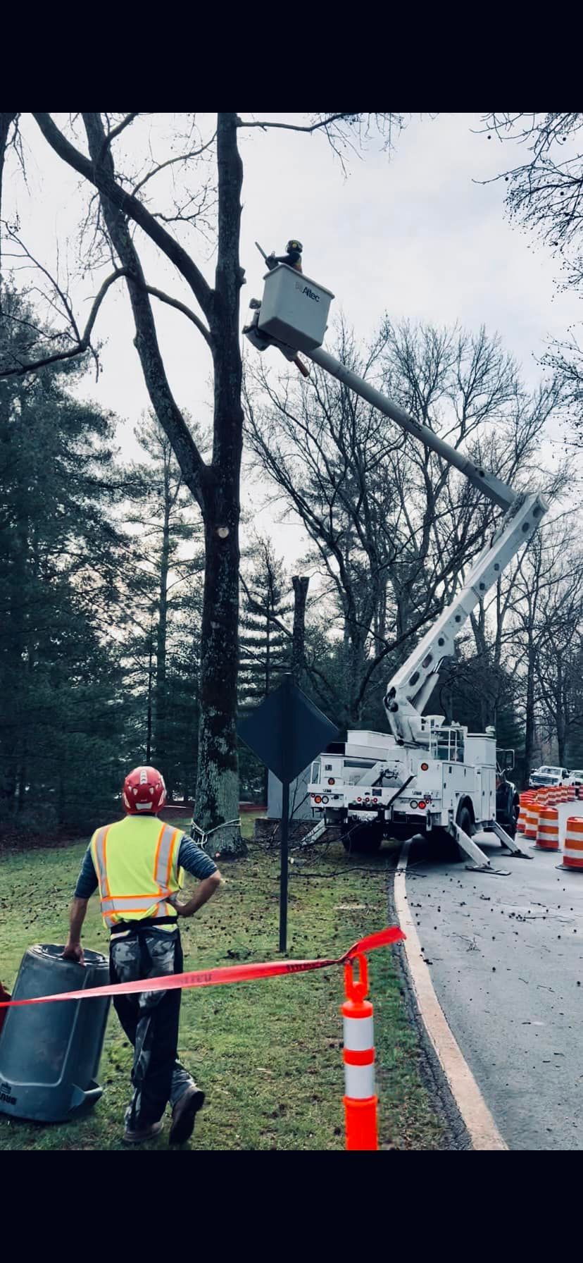 Utility workers trimming a tree near a road from a bucket truck, with cones and caution tape blocking traffic