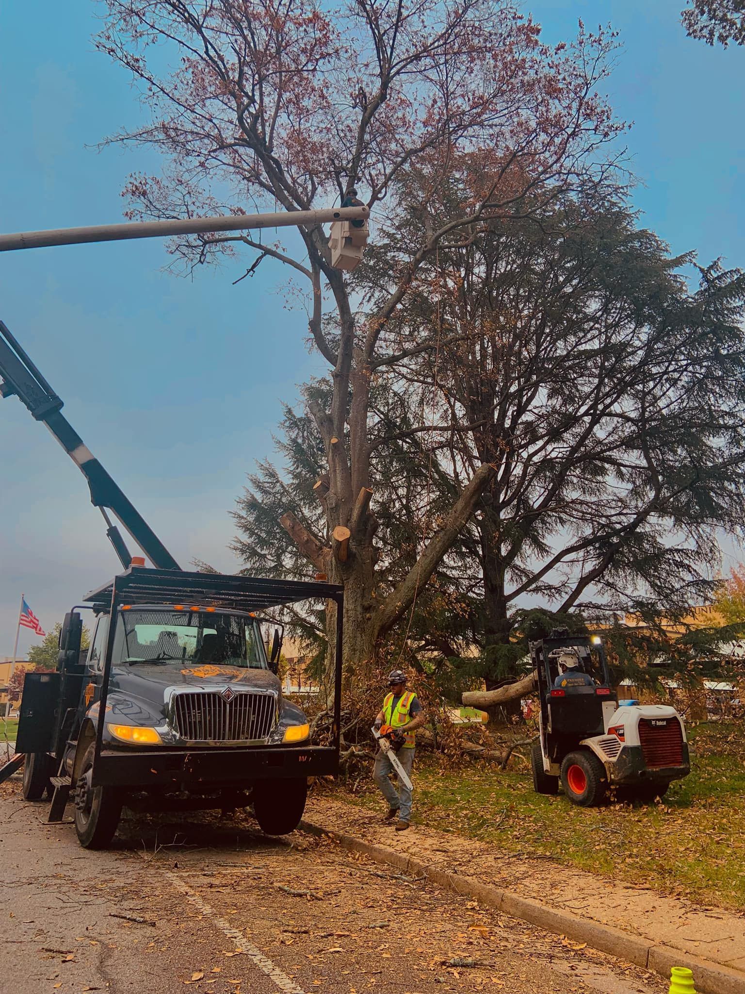 Two tractors lifting and trimming a large tree beside a dirt road in a rural area