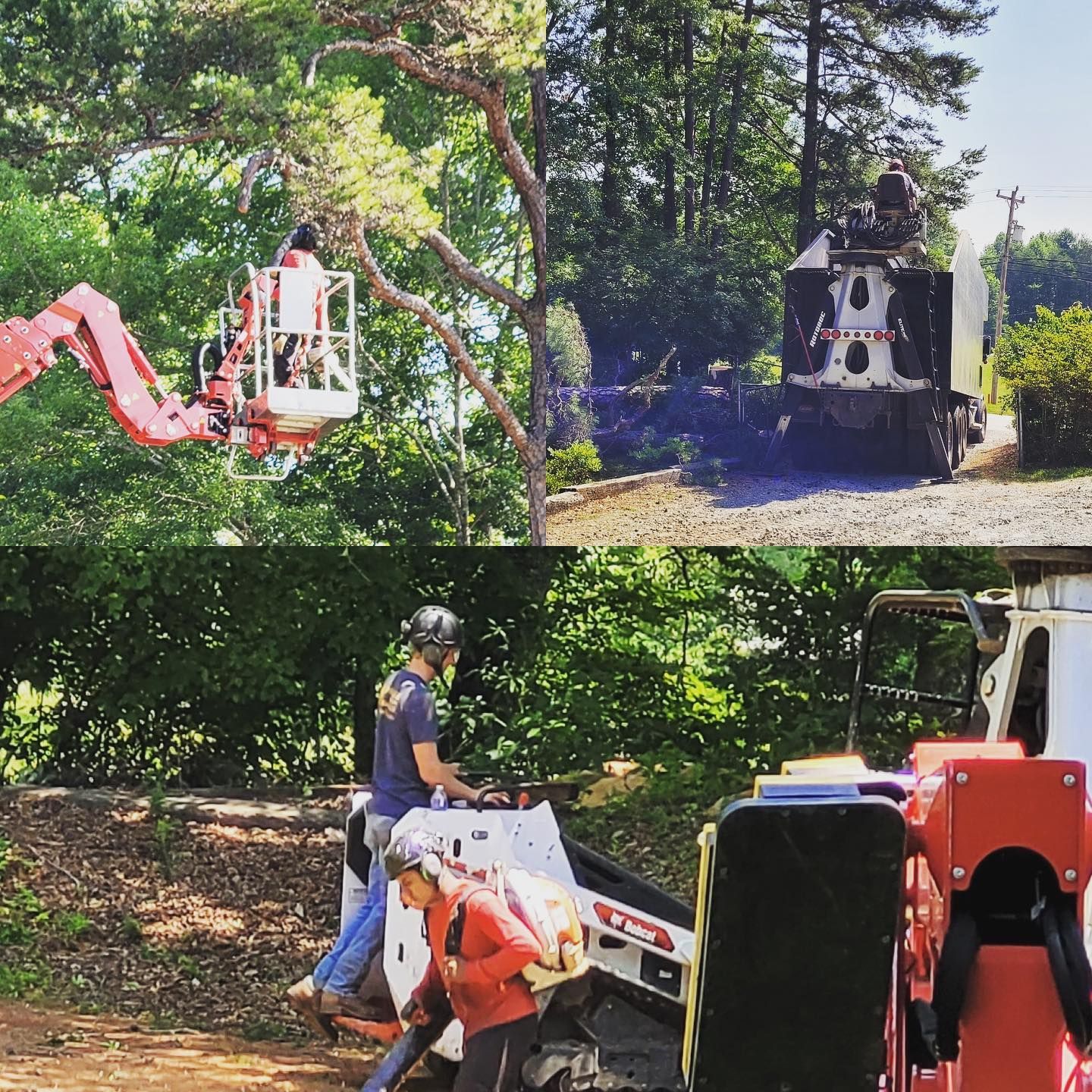 Two workers operating orange equipment in a wooded yard, trimming trees and clearing brush.
