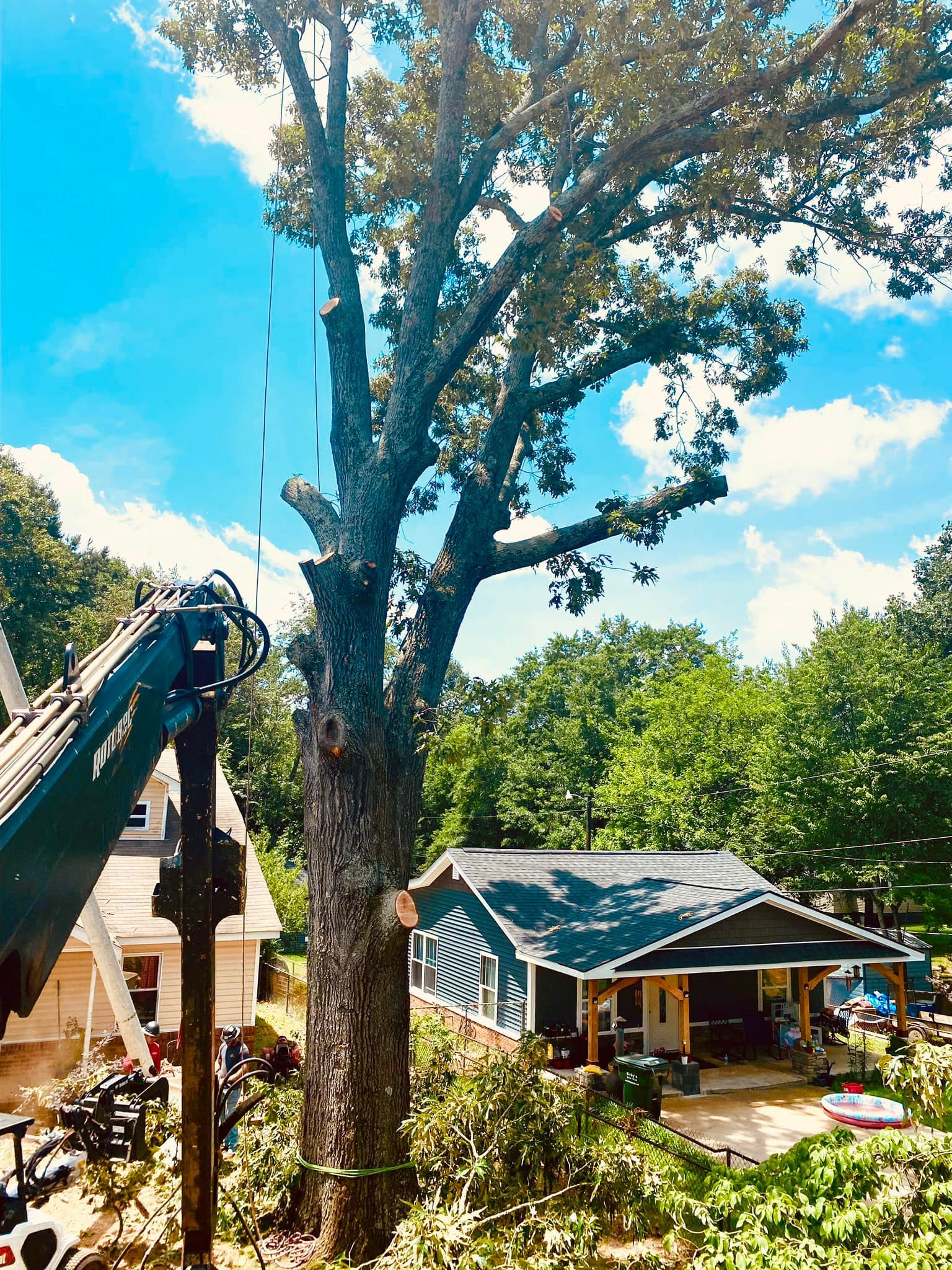 Excavator by a large tree beside a house under a bright blue sky