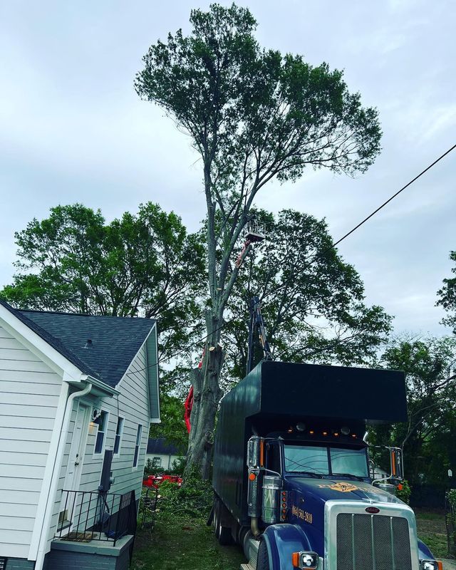 Blue dump truck parked beside a white house under tall trees on a cloudy day