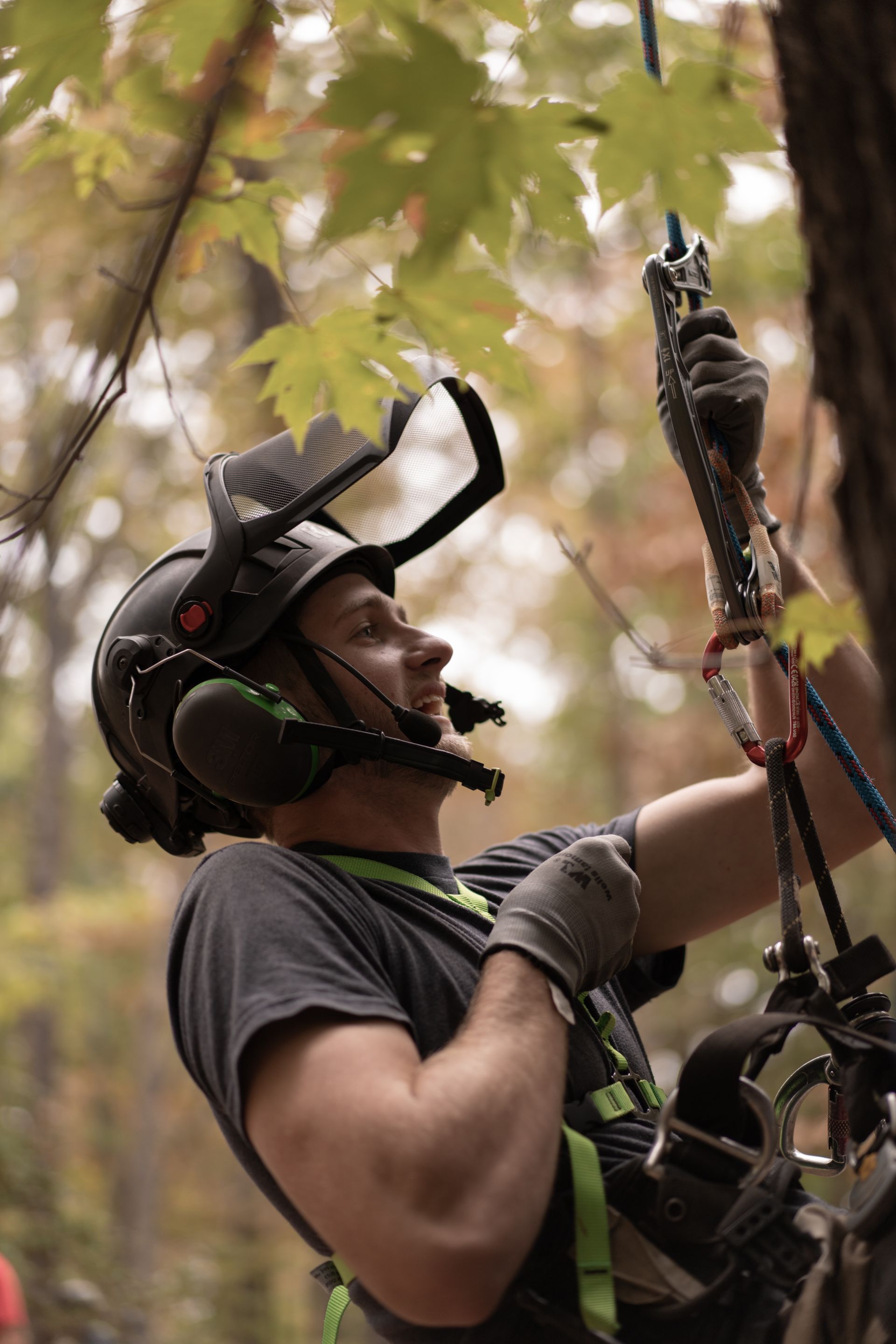 Arborist in helmet and harness climbs a tree, using ropes and gear among autumn leaves.