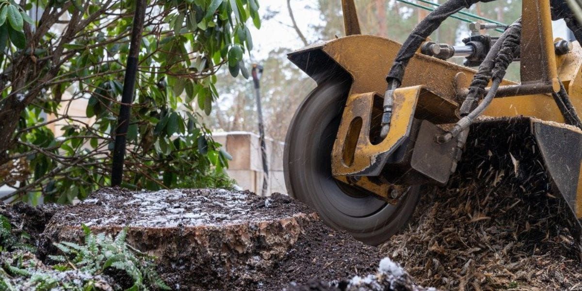 Yellow construction machine wheel churning muddy debris in a wooded area