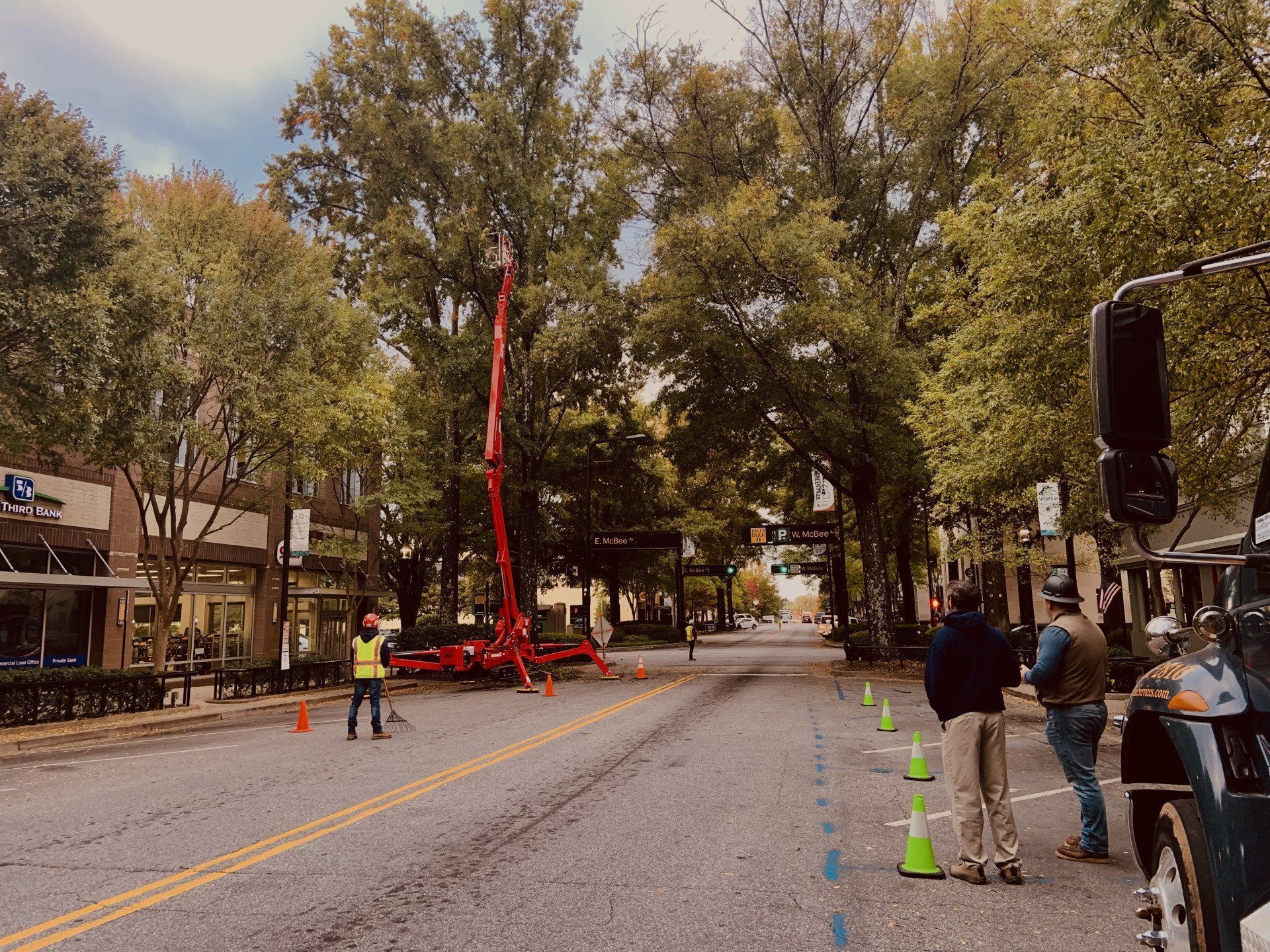 Tree-lined street with a red utility lift truck and workers near orange cones and a traffic signal