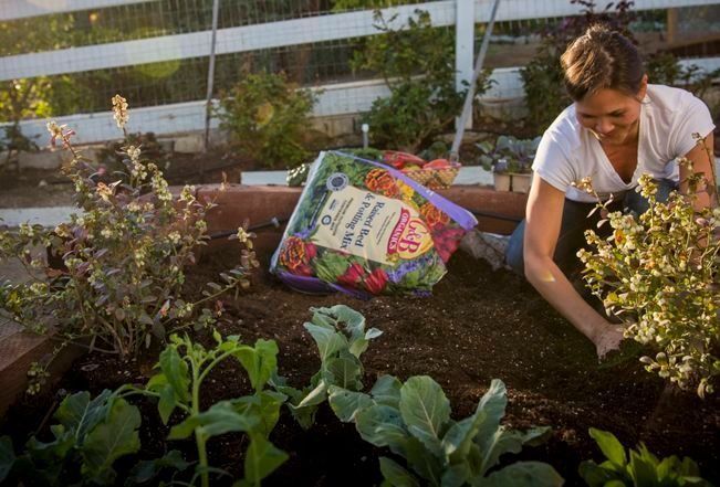 Woman gardening in a raised bed, smiling.  Soil bag visible. White fence and plants in background.