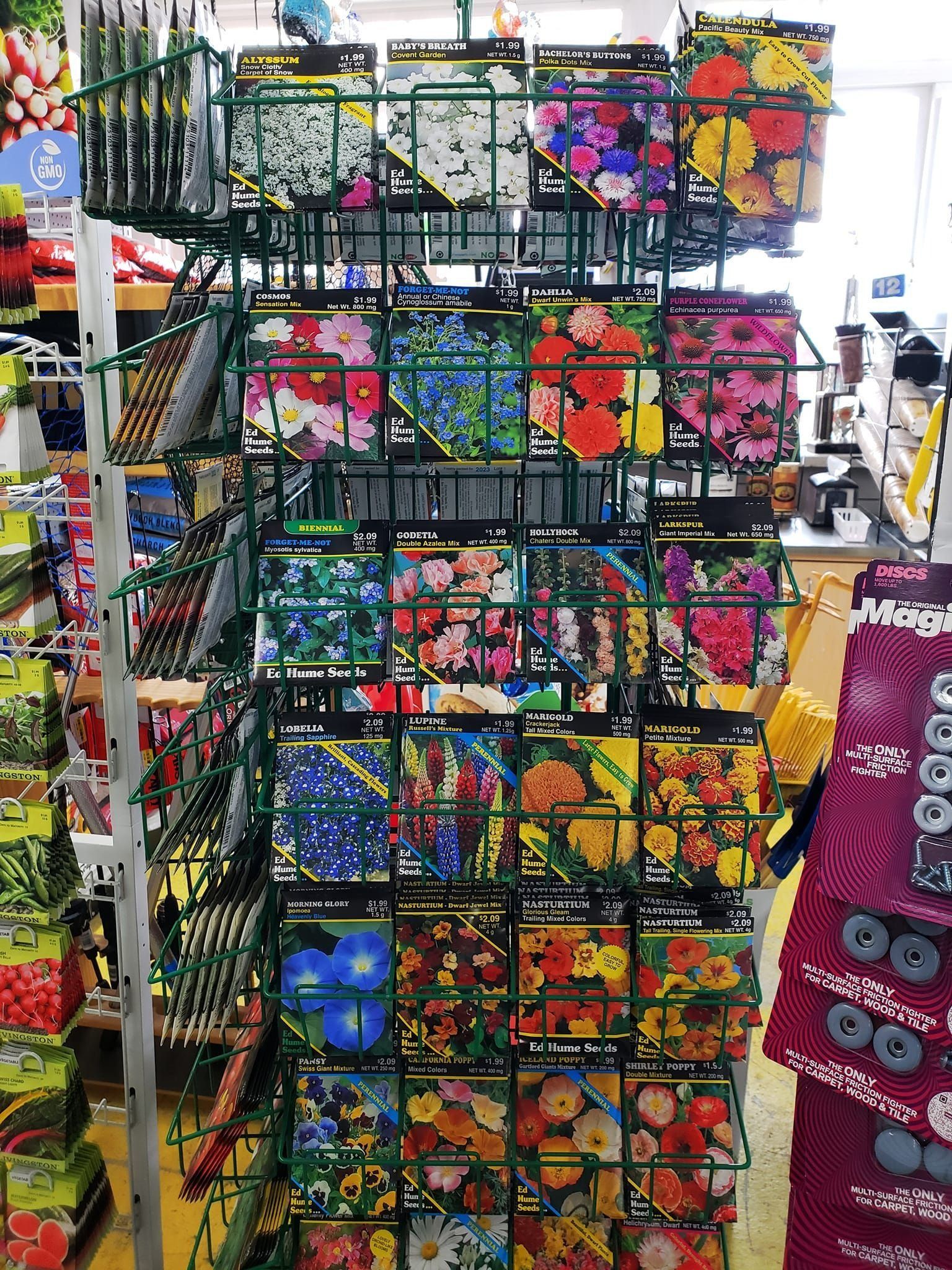 Seed packets on a store display stand, various flower types, colorful packets.