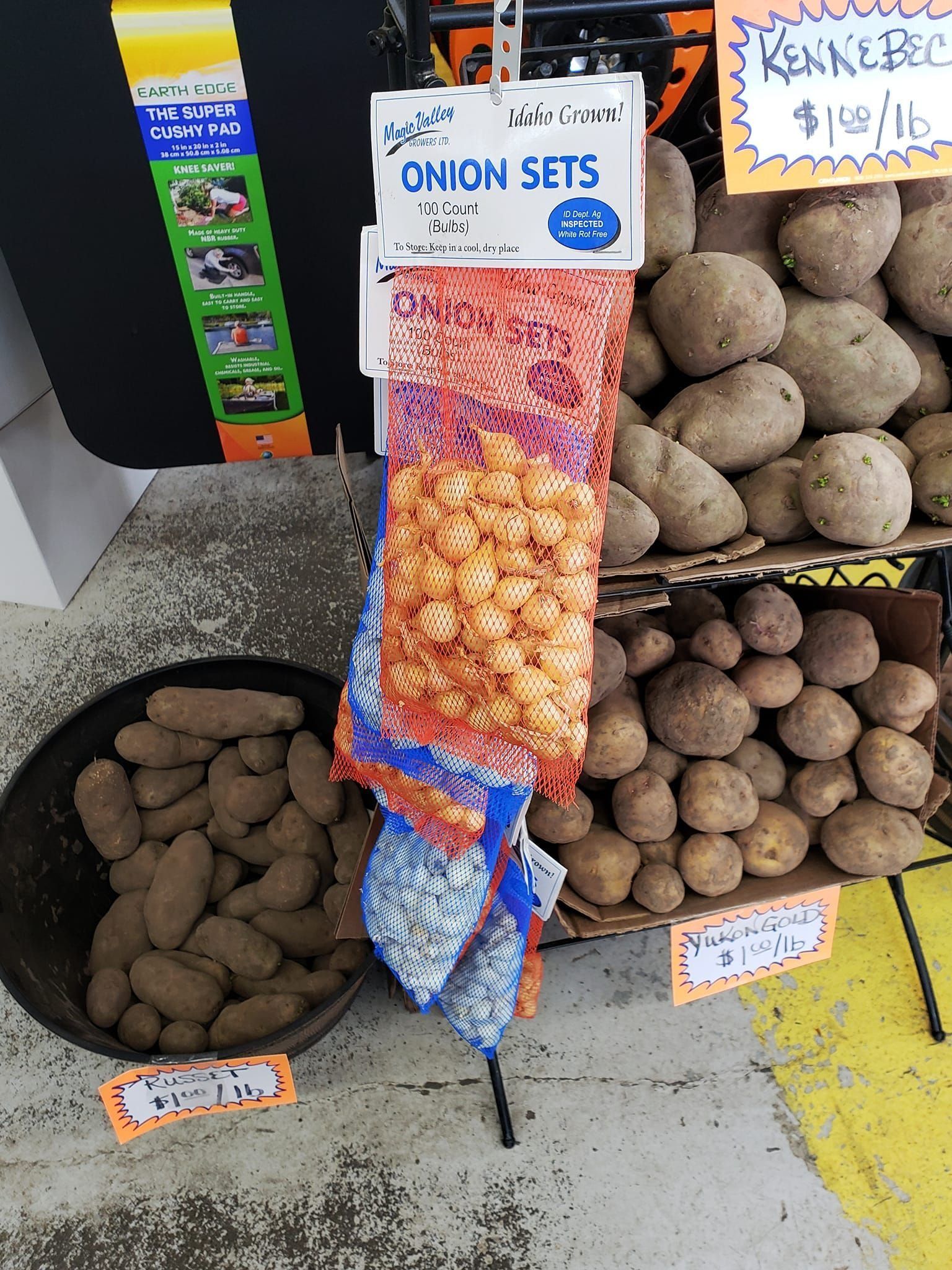 Produce display: Onion sets in mesh bags, various potatoes, and a black bin of potatoes.