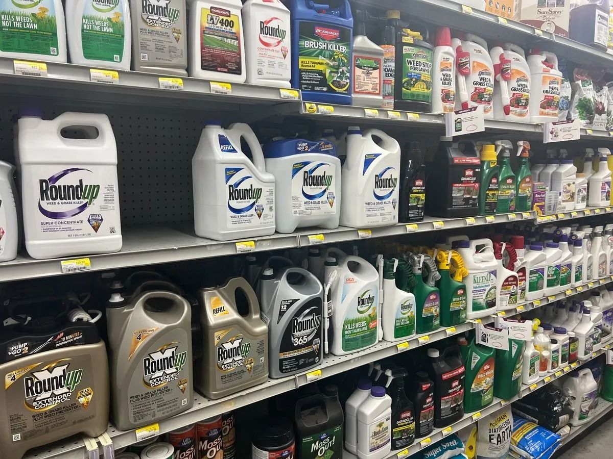 Shelves stocked with various bottles and containers of lawn care chemicals in a store setting.
