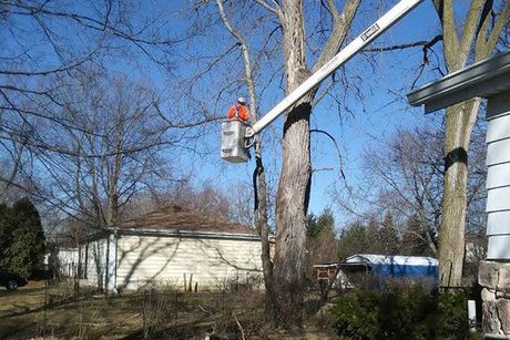  tree service and landscaping