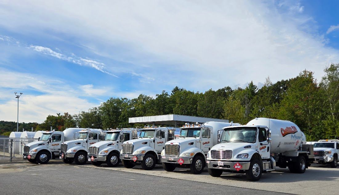 Line of white delivery trucks parked outside under a blue sky.