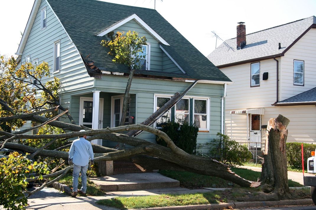 Large fallen tree across a house and sidewalk, with a person standing nearby in a residential neighborhood