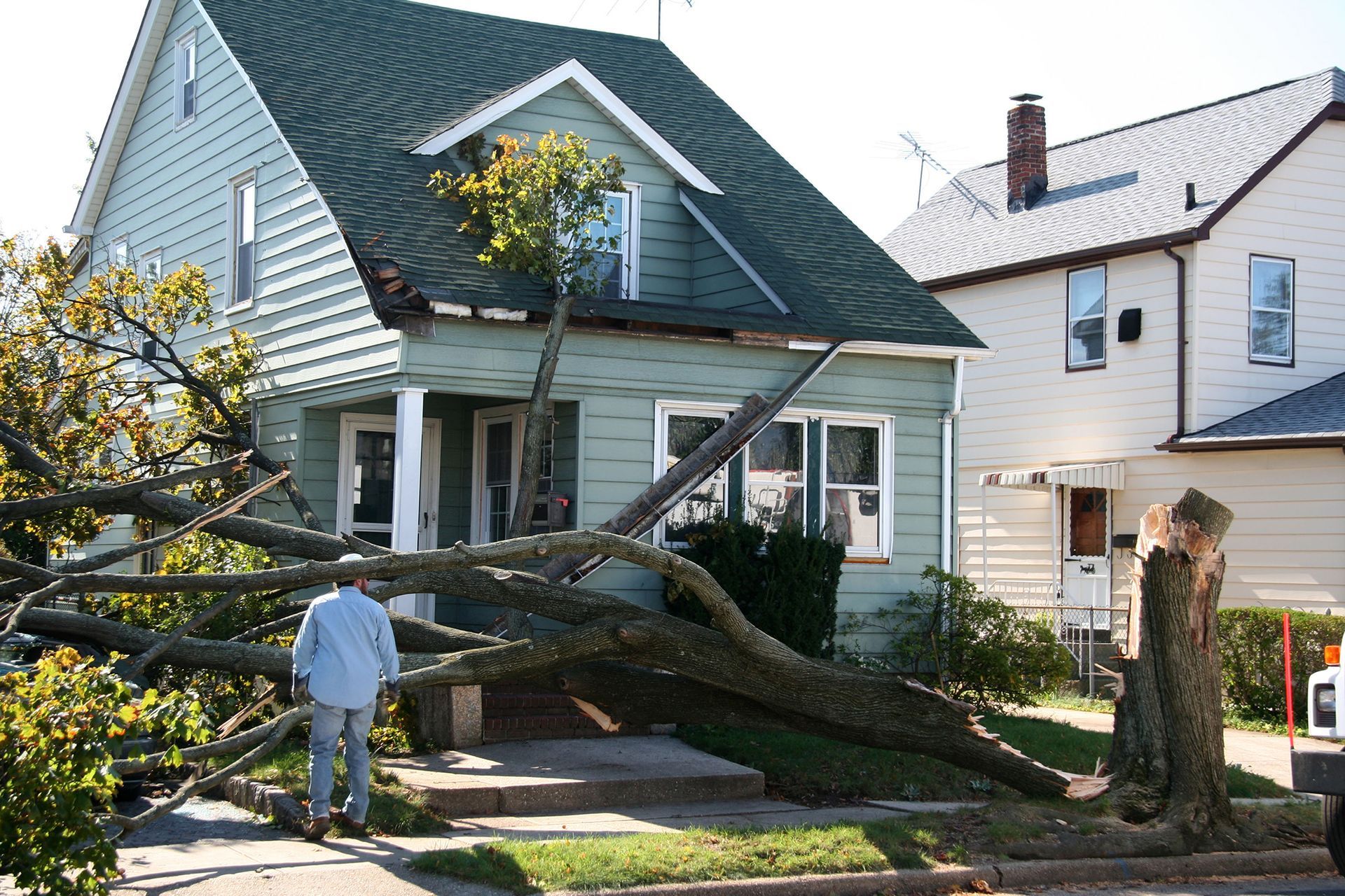 Large fallen tree across a house and sidewalk, with a person standing nearby in a residential neighborhood