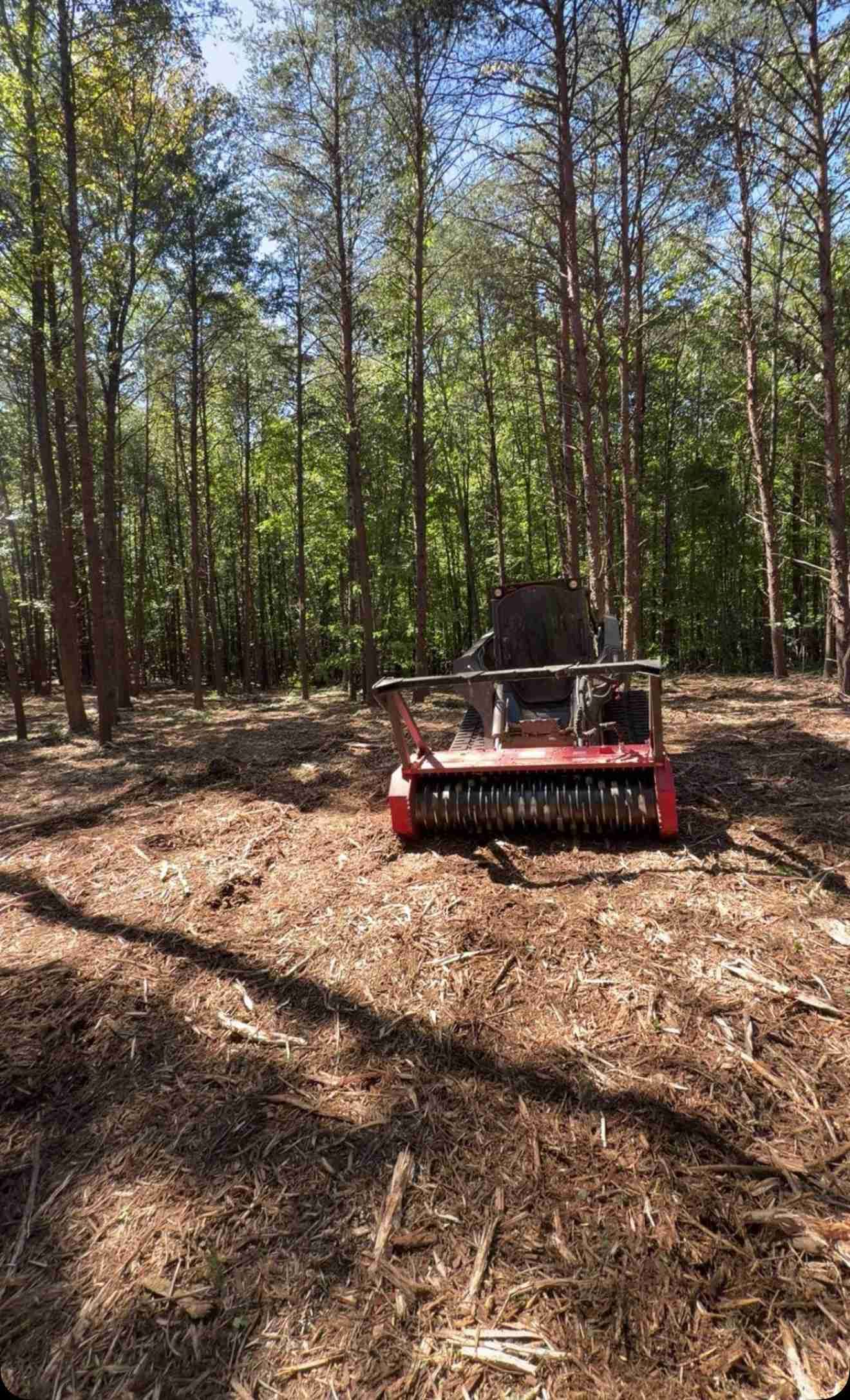 Small red tractor with mower attachment in a wooded area with tall trees and leaf-covered ground
