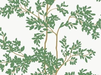 Green tree branches with leaves against a white background.