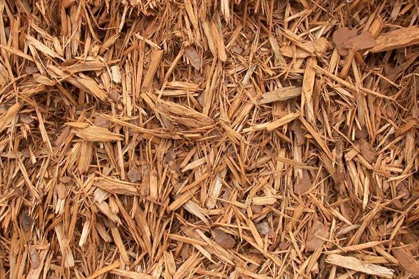 A pile of wood chips is sitting on the ground.