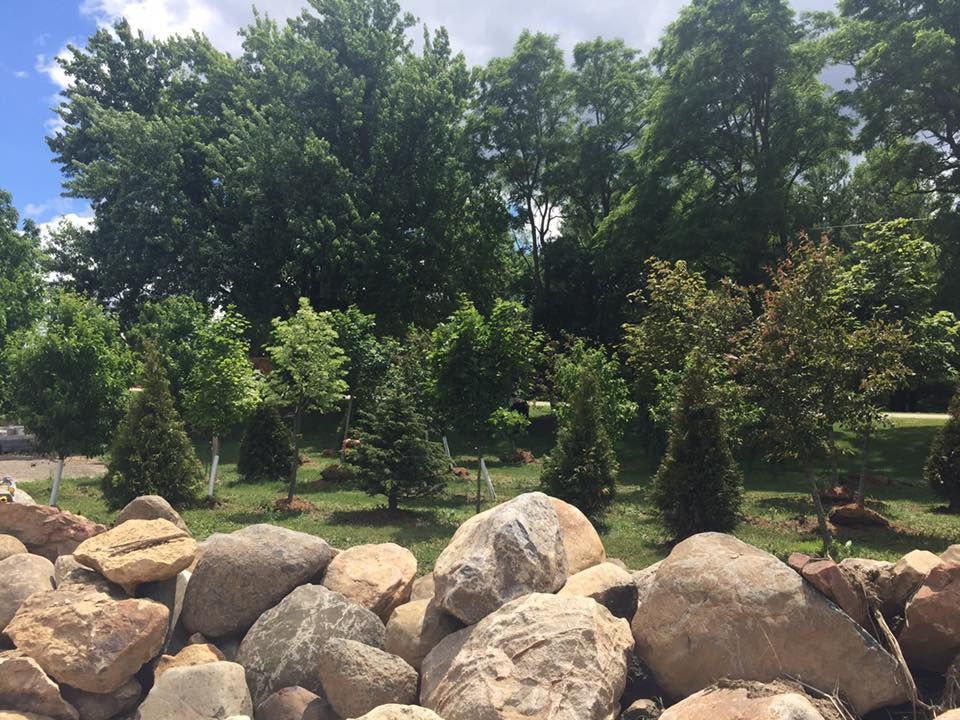 A pile of rocks in a park with trees in the background