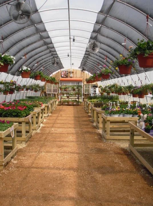 A greenhouse filled with lots of potted plants