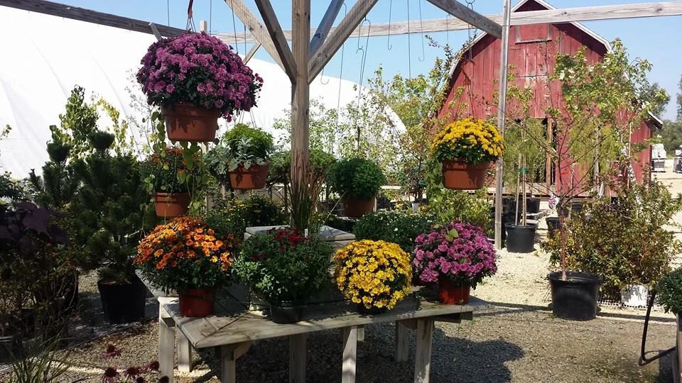 A greenhouse filled with potted plants and flowers with a red barn in the background.