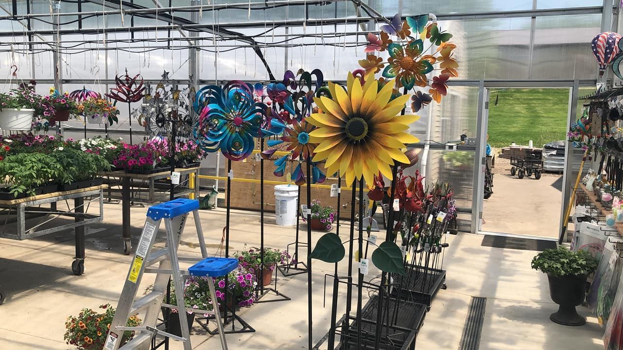 A greenhouse filled with lots of flowers and a ladder.