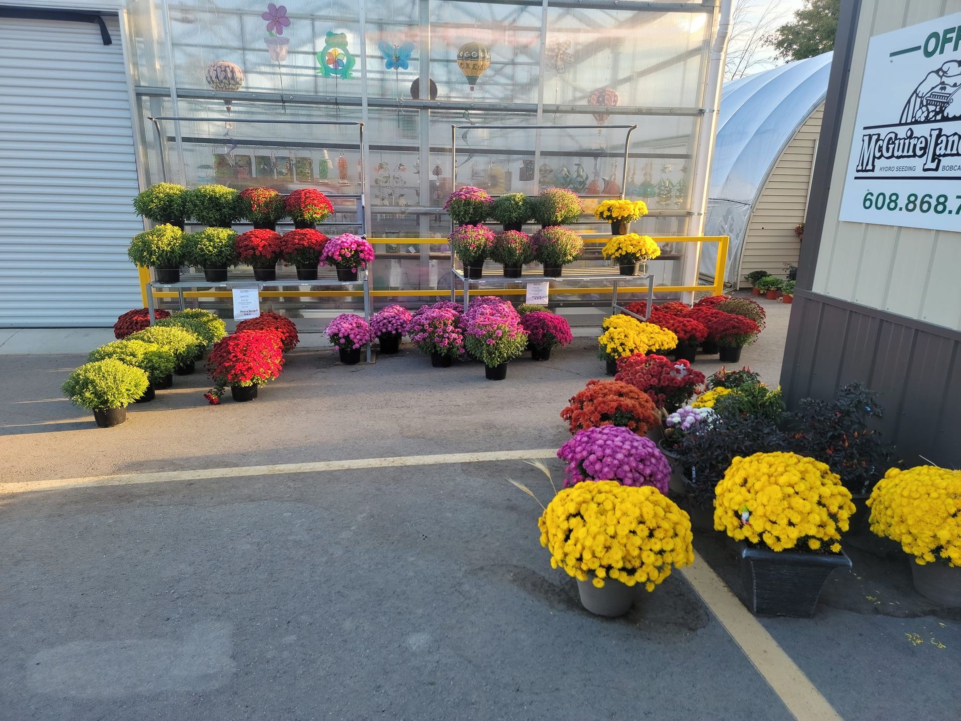 A bunch of potted flowers in front of a greenhouse