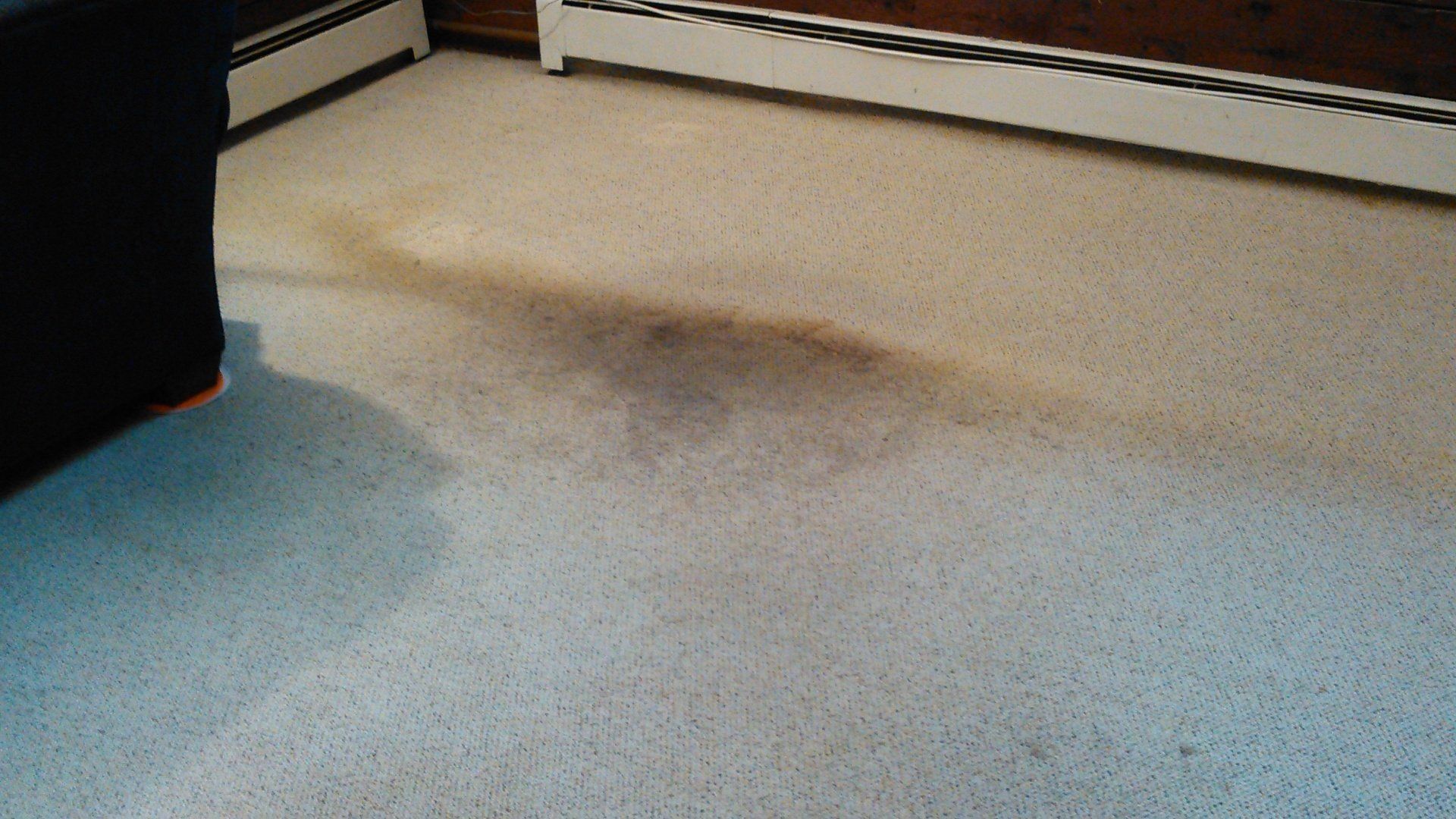 Before carpet