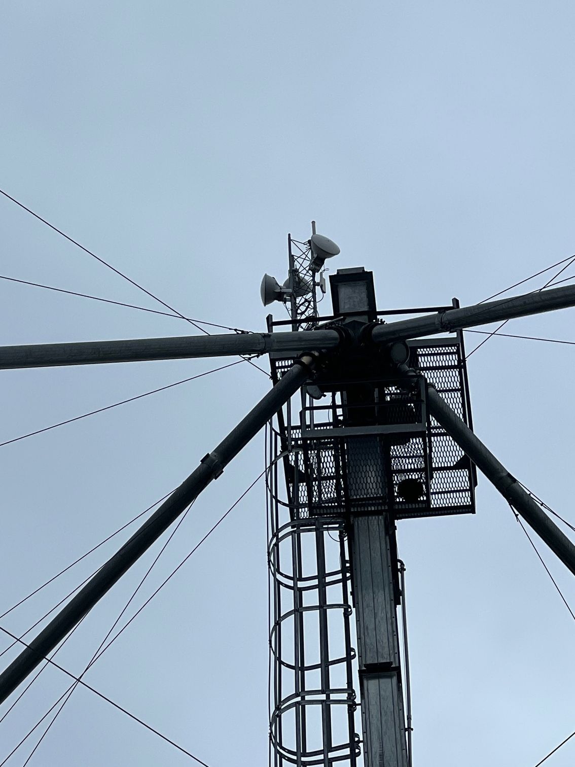 A telephone pole with a ladder on top of it against a blue sky.