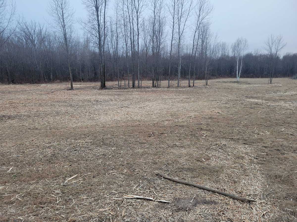 A field of dry grass with trees in the background.