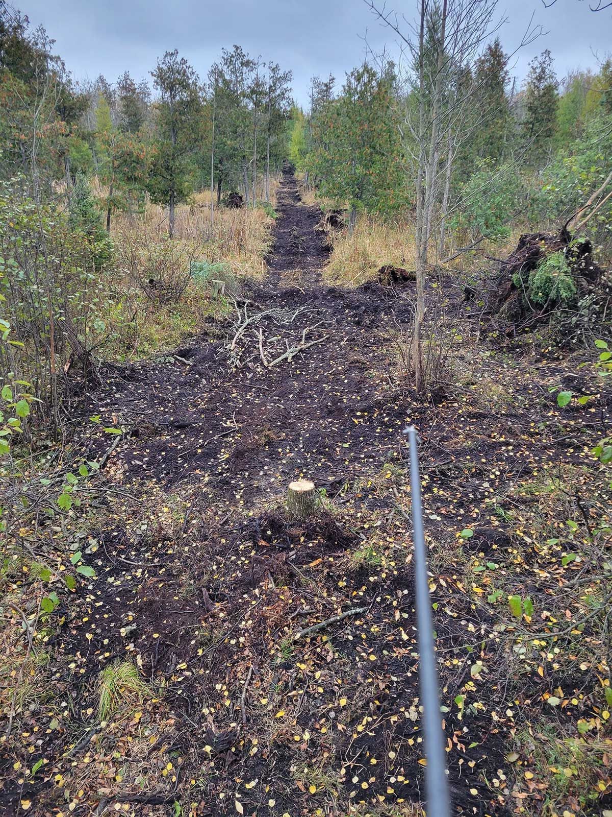 There is a pipe in the middle of the forest.