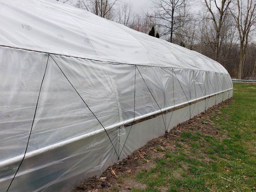 Cold Frame Greenhouse