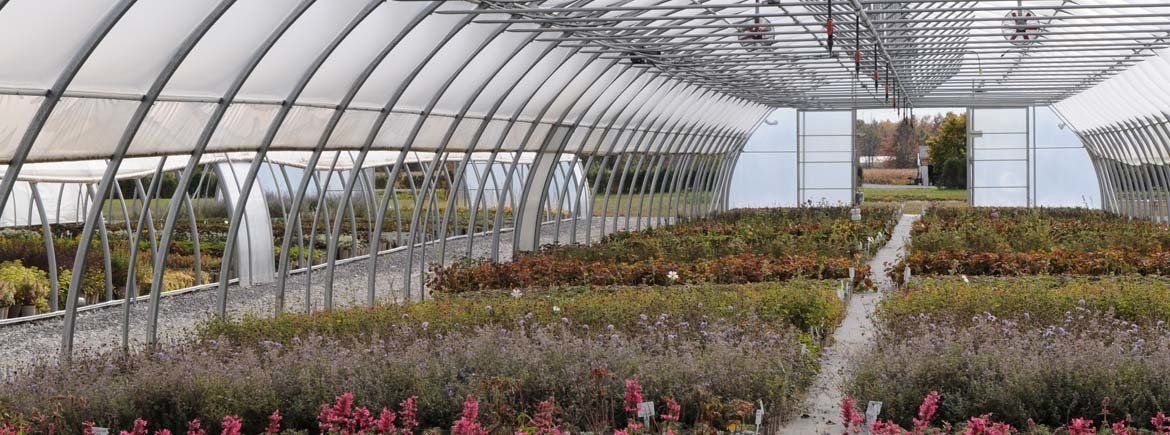 freestanding greenhouse