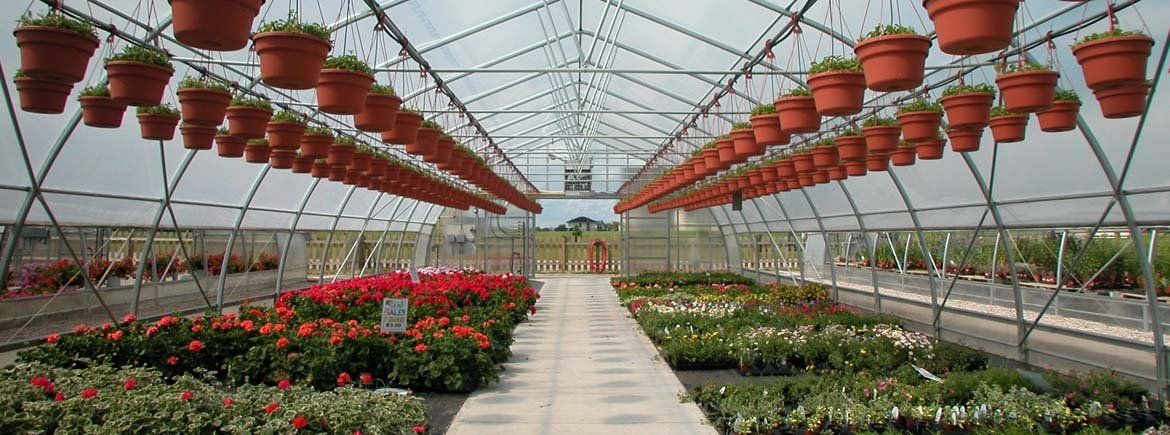 freestanding greenhouse