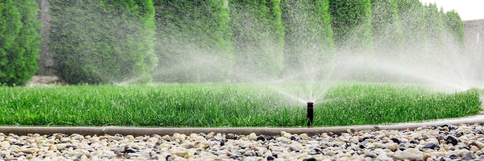 A sprinkler is spraying water on a lush green field.