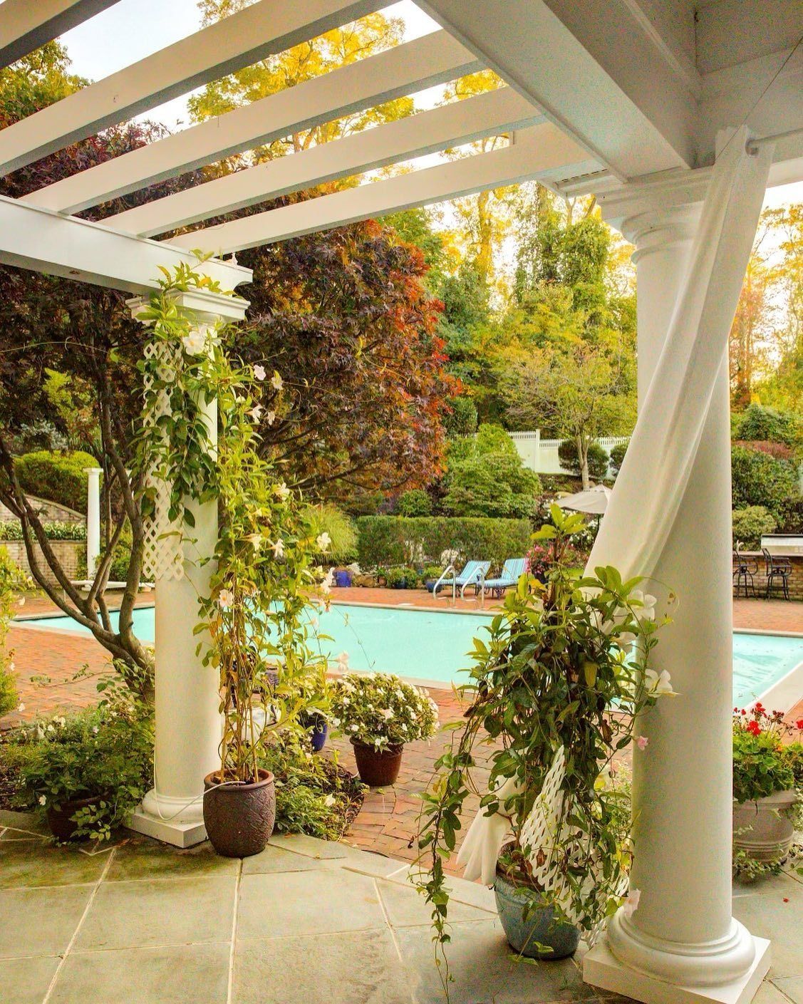 Pergola overlooking a pool, with climbing plants on pillars, surrounded by greenery.