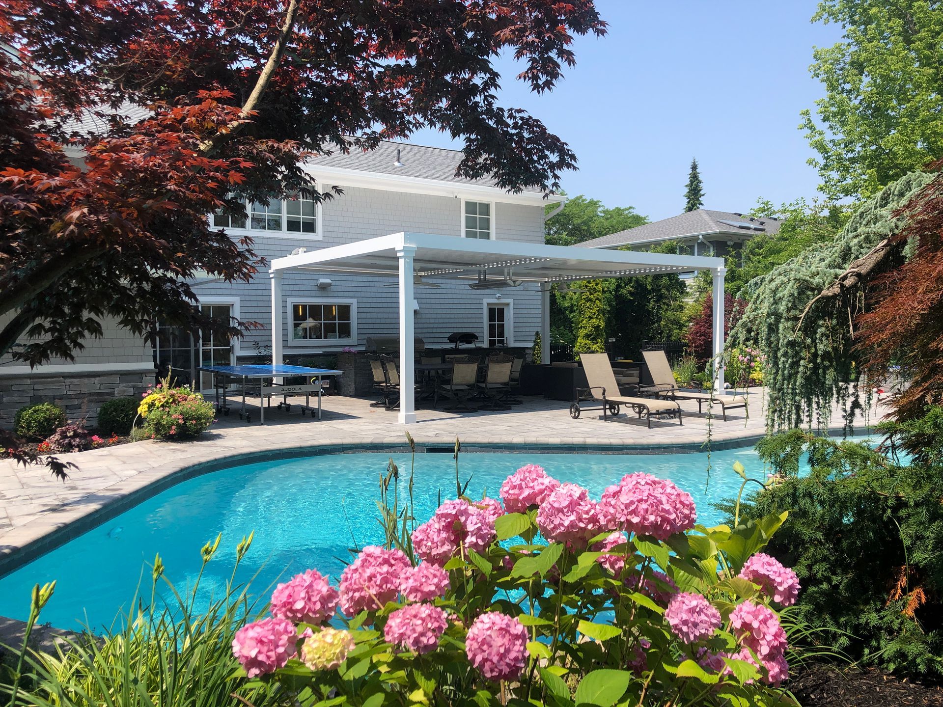 Backyard pool with pink flowers, patio loungers, and a white house under a pergola