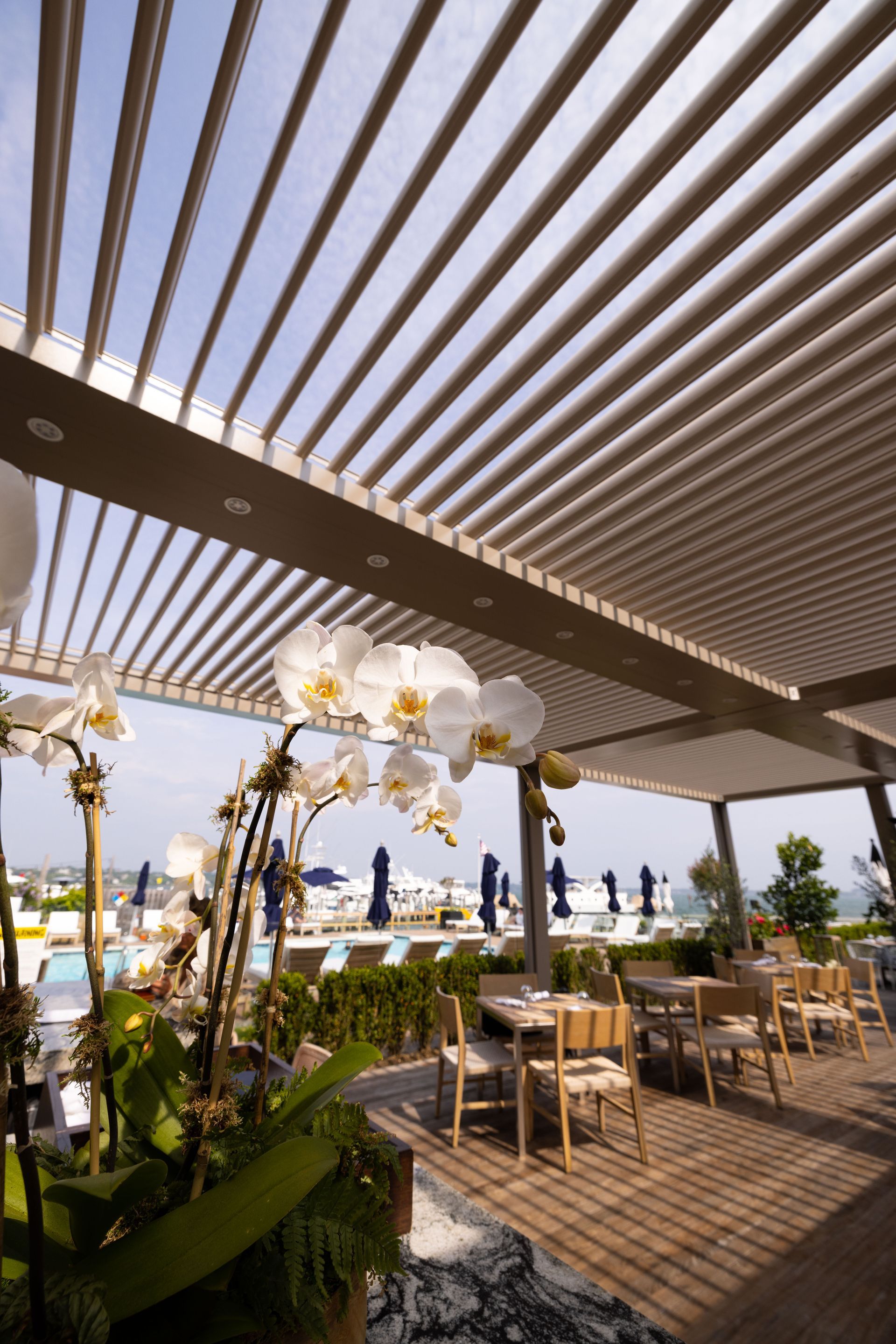 Outdoor terrace with slatted pergola, white orchids, and tables overlooking a waterfront view
