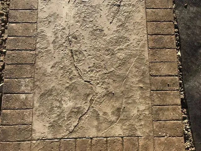 A close up of a concrete walkway with bricks surrounding it.